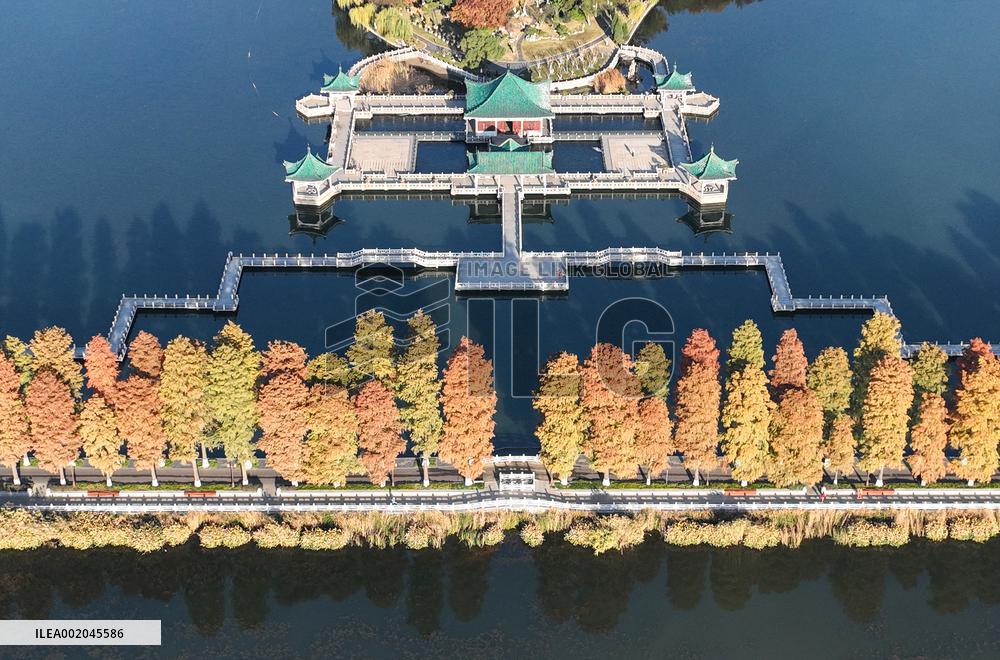 XINHUA PHOTOS OF THE DAY