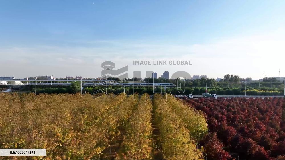 Construction of China's Xiong'an New Area in full swing