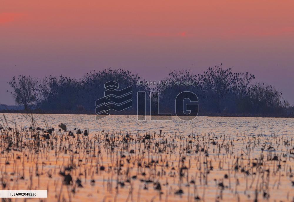 Hongze Lake Wetland National Nature Reserve in Suqian