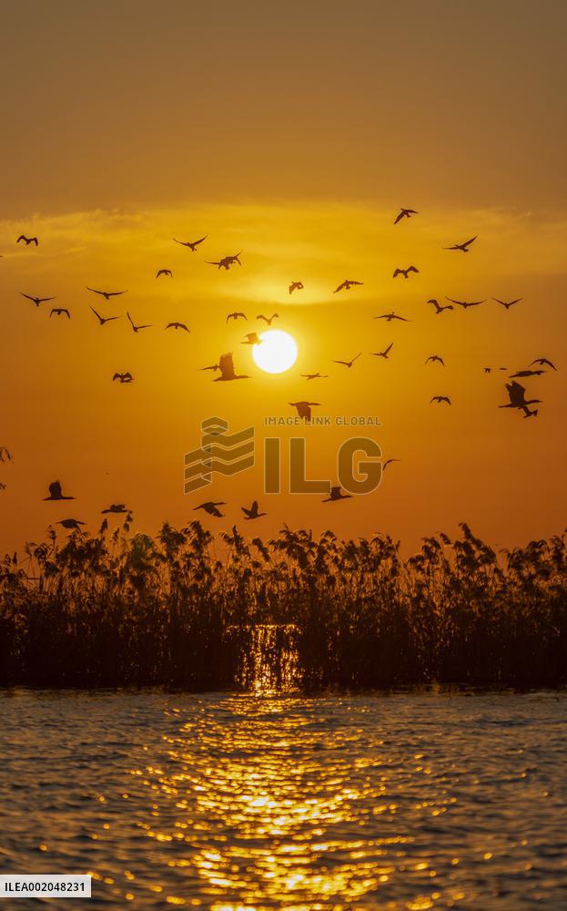 Hongze Lake Wetland National Nature Reserve in Suqian
