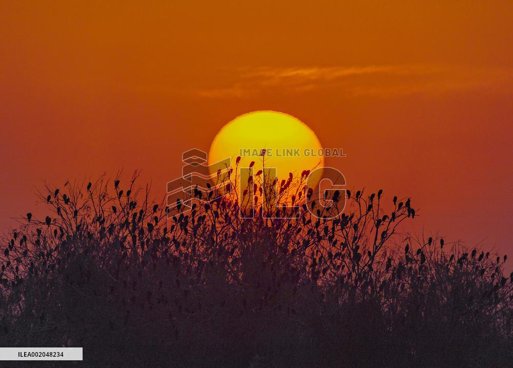 Hongze Lake Wetland National Nature Reserve in Suqian
