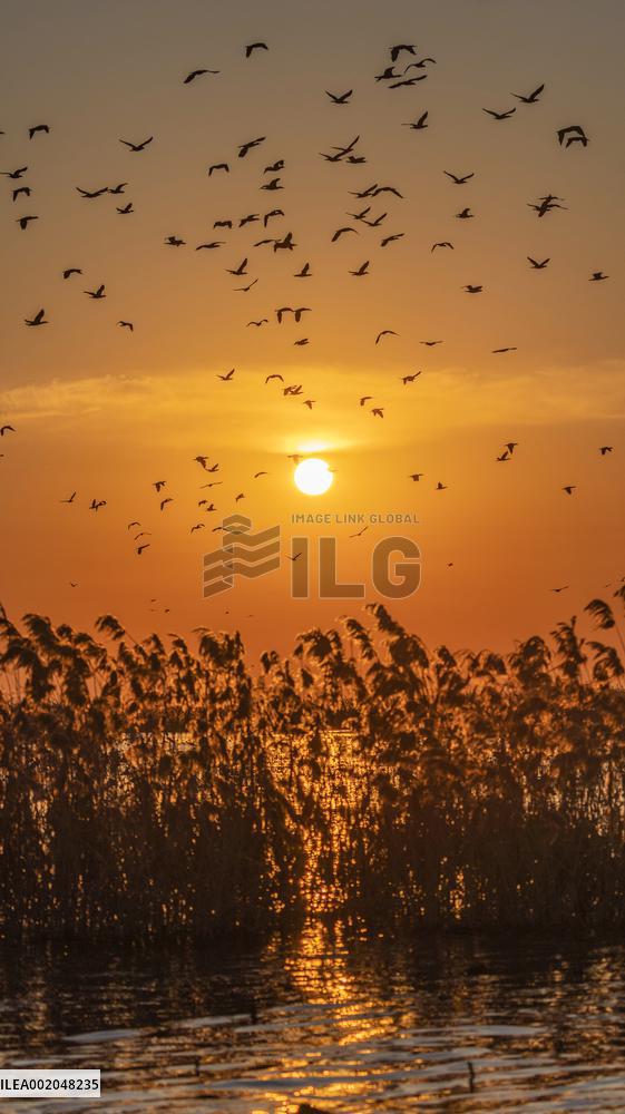 Hongze Lake Wetland National Nature Reserve in Suqian