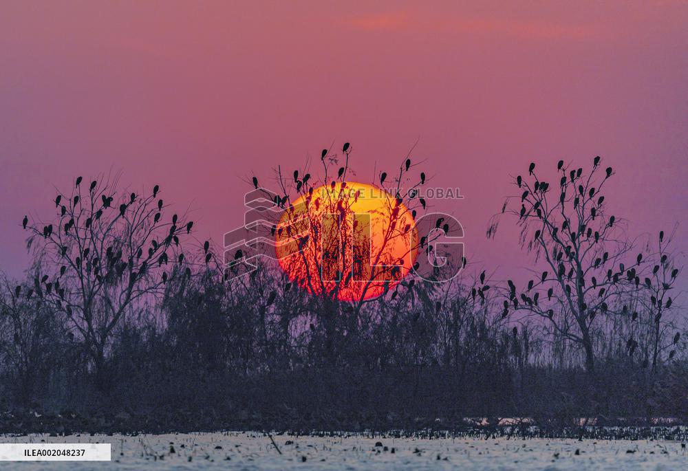 Hongze Lake Wetland National Nature Reserve in Suqian