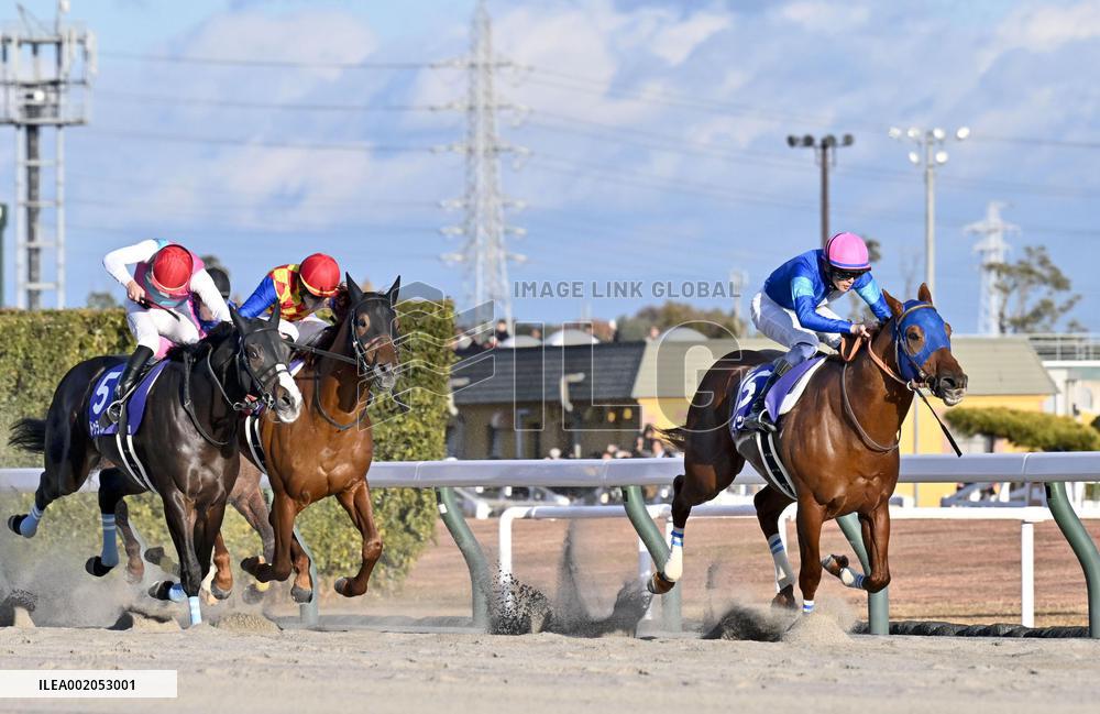 Horse racing: Champions Cup