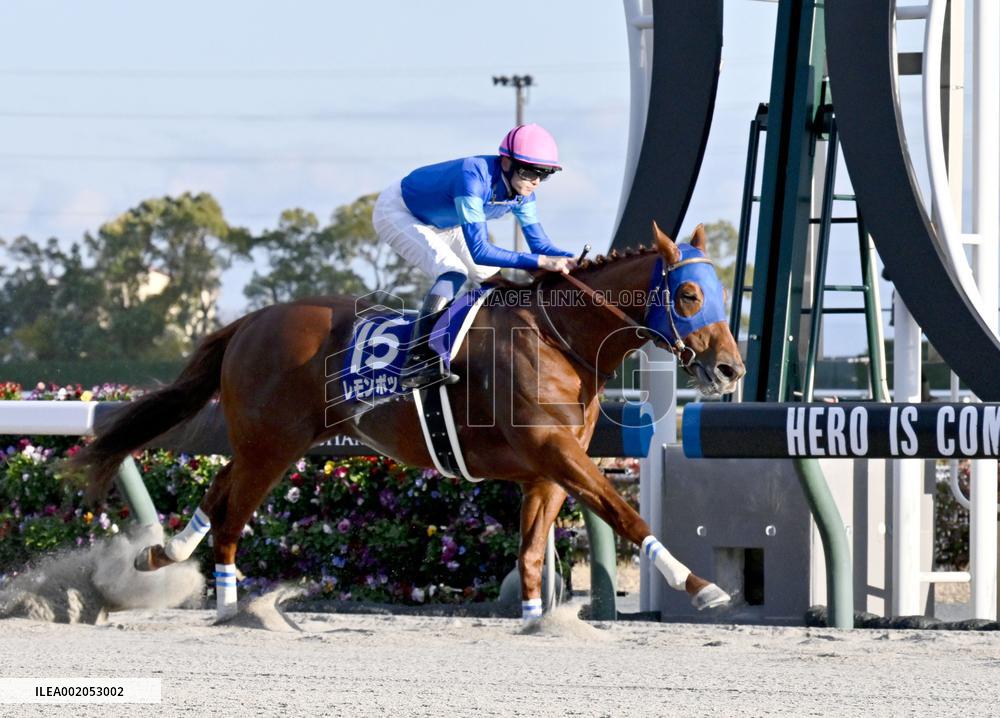 Horse racing: Champions Cup