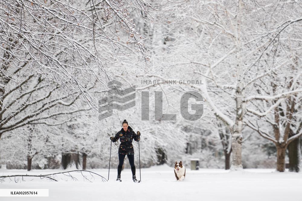 First Significant Snowfall In Ottawa - Canada