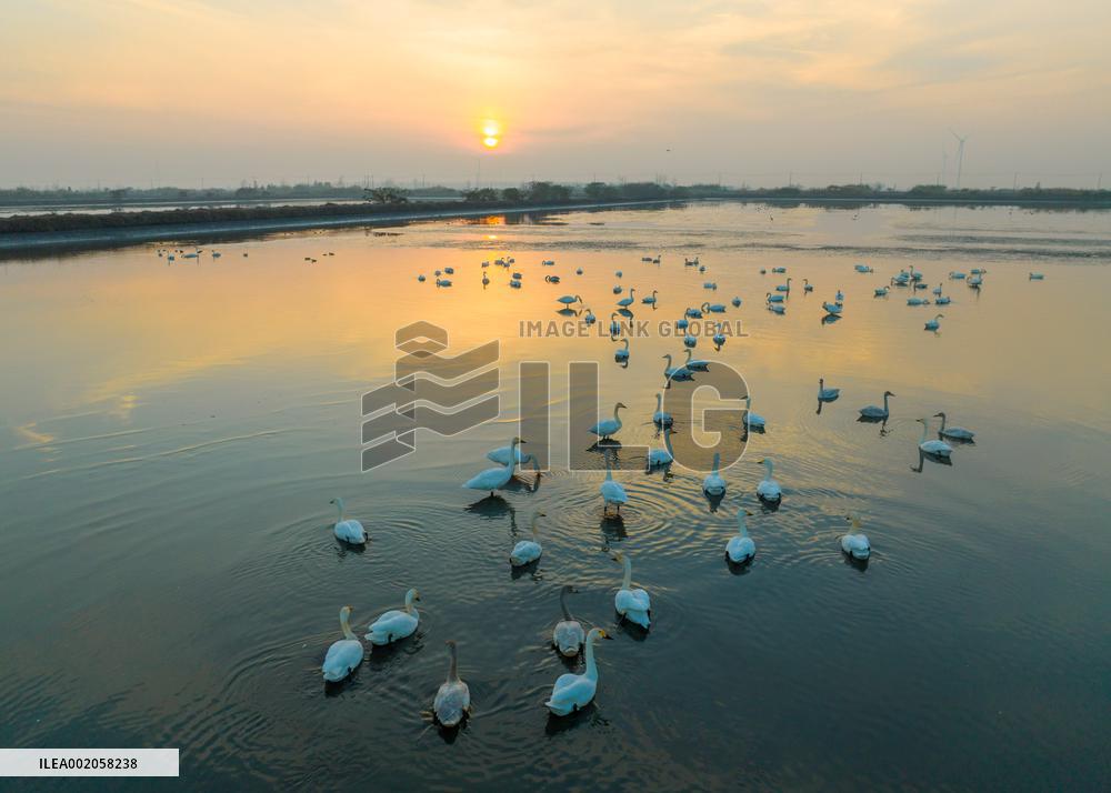 #(EcoChina)CHINA-WINTER-SCENERY (CN)