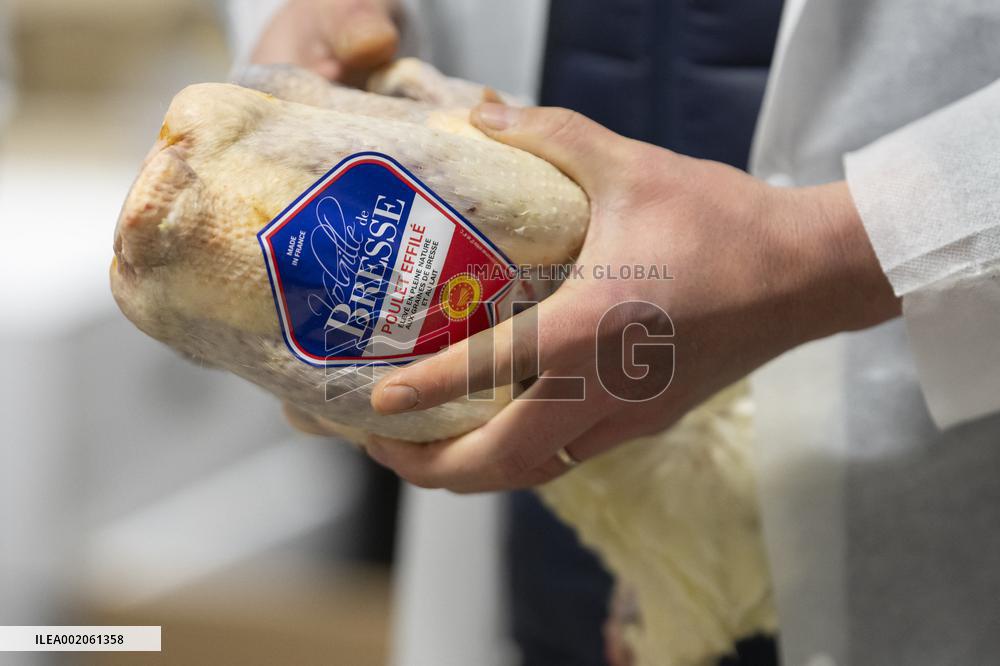 Rungis International Market - Southern Paris