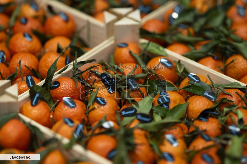 Rungis International Market - Southern Paris