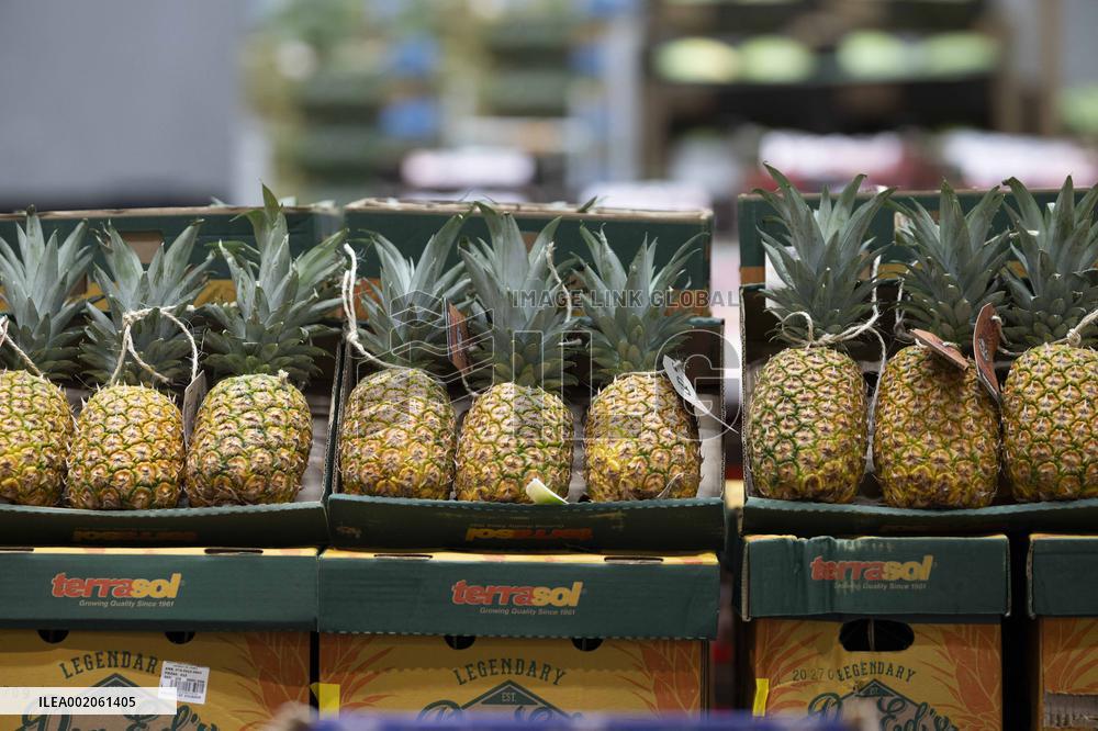 Rungis International Market - Southern Paris