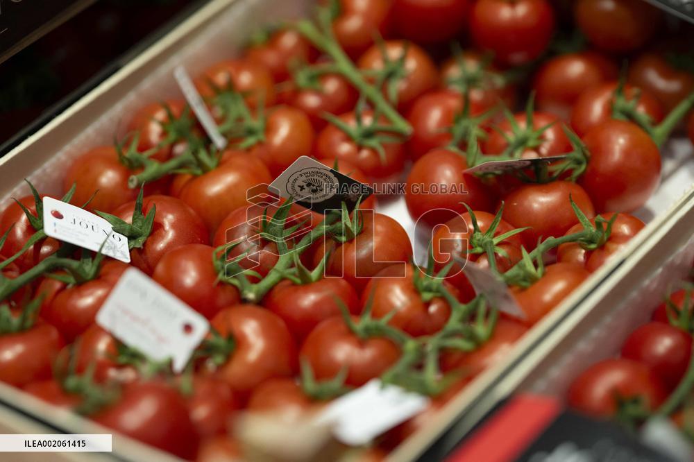 Rungis International Market - Southern Paris