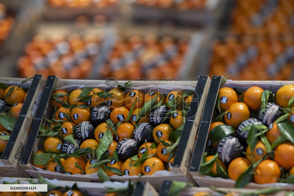 Rungis International Market - Southern Paris