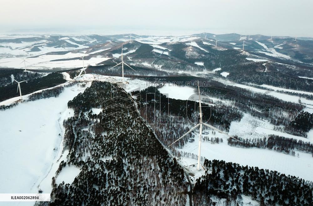 XINHUA PHOTOS OF THE DAY