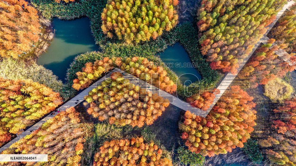 Yuweizhou Wetland Park in Nanchang