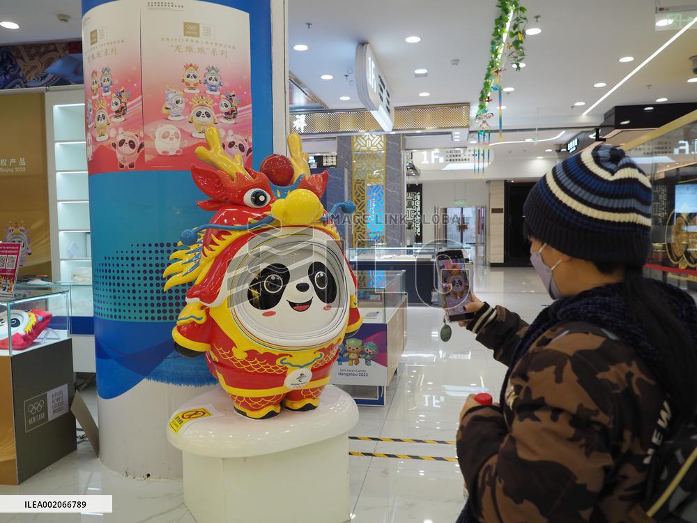 People Shop For Long Dundun in Beijing