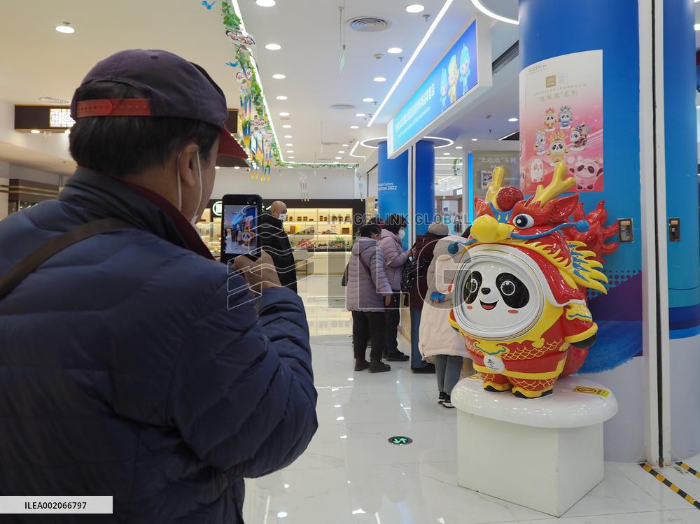People Shop For Long Dundun in Beijing