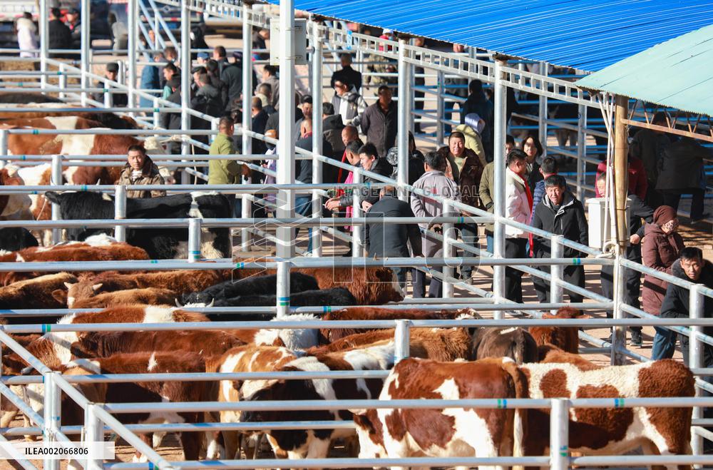 Agricultural and Livestock Products Trading Market in Ordos