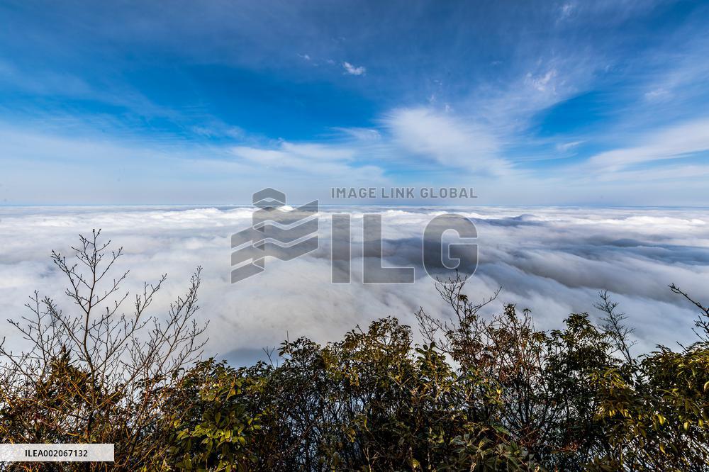Tourist Enjoy Jinfo Mountain in Chongqing