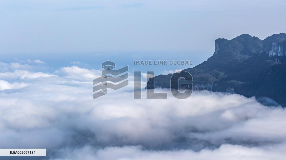 Tourist Enjoy Jinfo Mountain in Chongqing