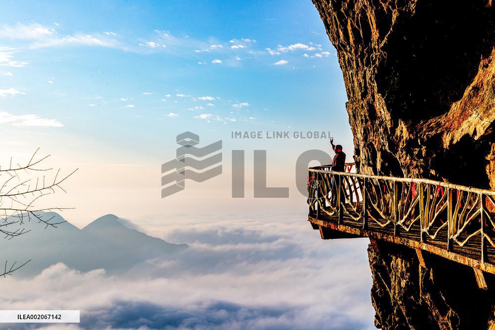 Tourist Enjoy Jinfo Mountain in Chongqing