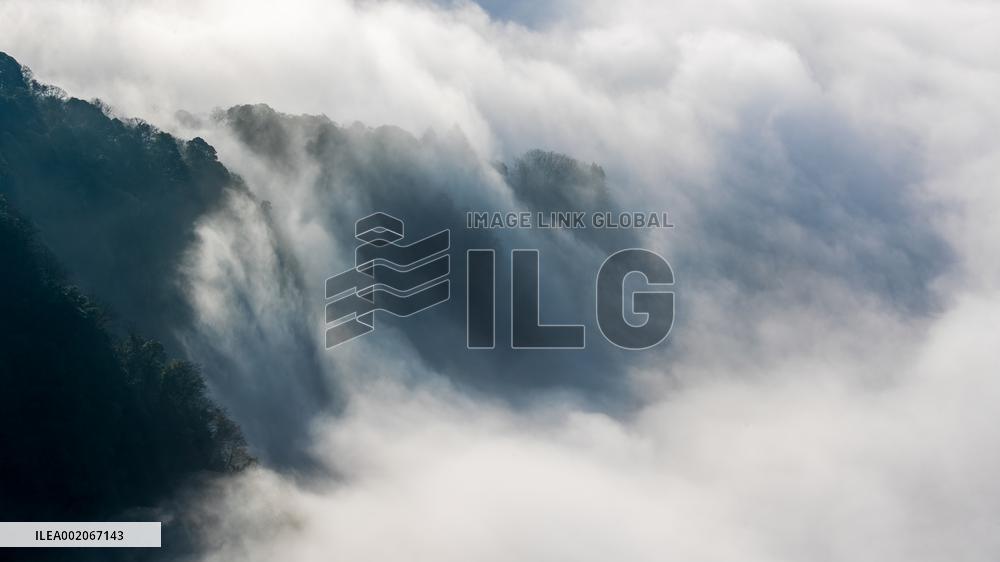 Tourist Enjoy Jinfo Mountain in Chongqing