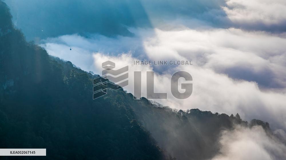 Tourist Enjoy Jinfo Mountain in Chongqing