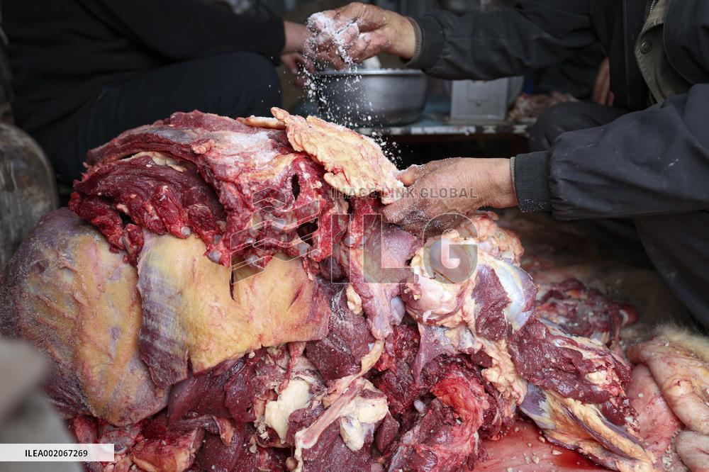 (FOCUS)CHINA-XINJIANG-YUMIN COUNTY-NOMADS-WINTER LIFE (CN)