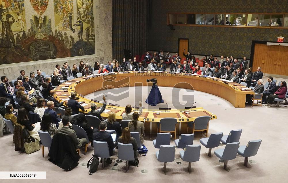 UNSC votes on humanitarian cease-fire demand