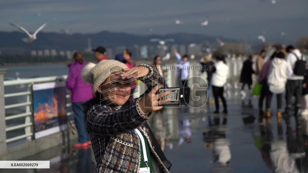 World Media Summit attendees explore charm of China's "Spring City"