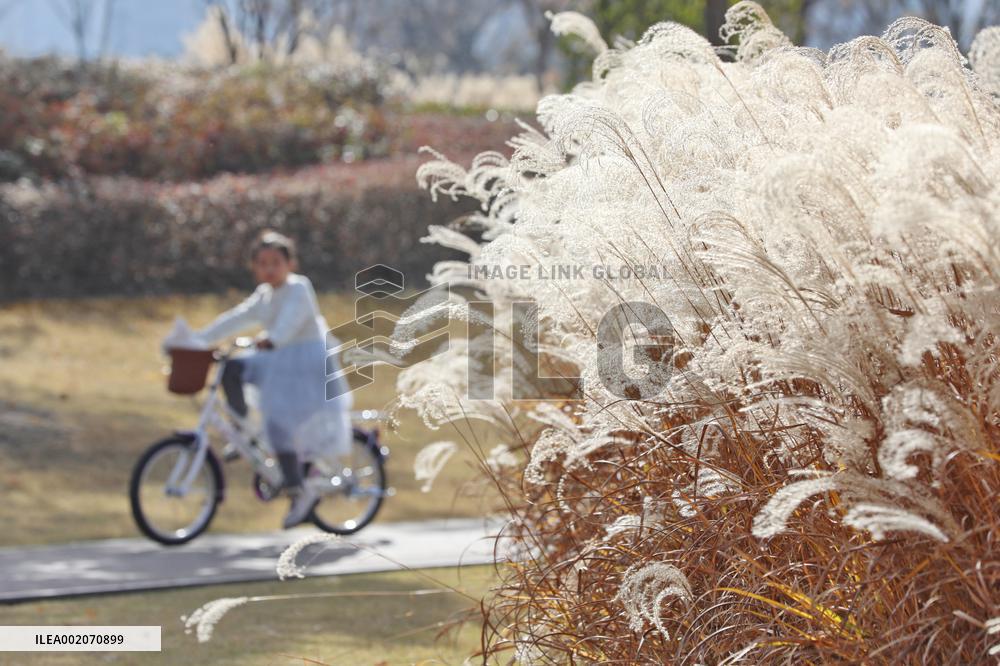 #CHINA-WINTER-SCENERY (CN)