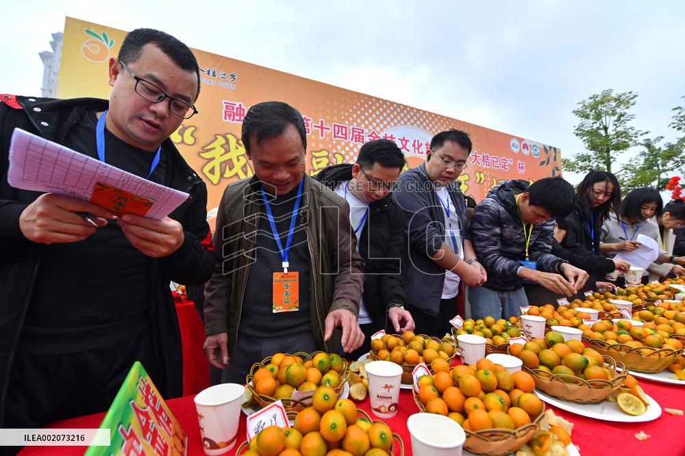 CHINA-GUANGXI-RONG'AN-KUMQUAT COMPETITION (CN)