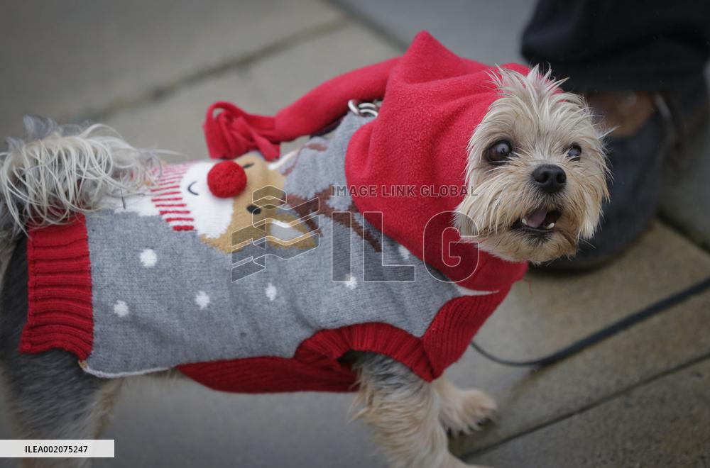 CANADA-RICHMOND-CHRISTMAS DOG PARADE