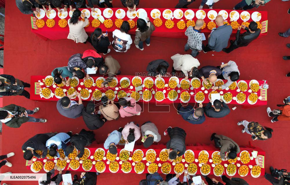 XINHUA PHOTOS OF THE DAY