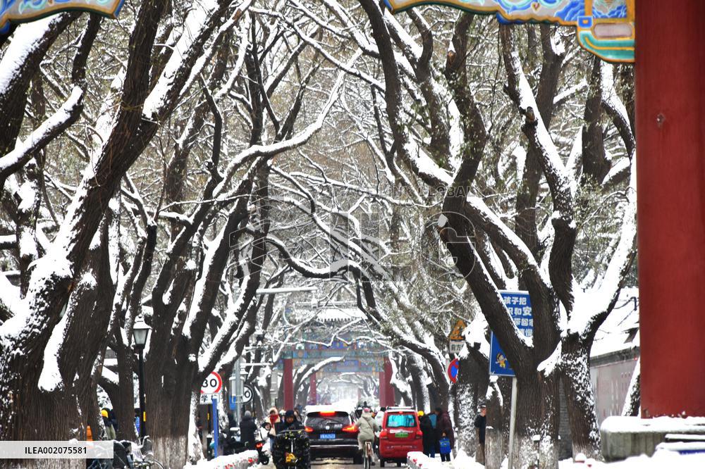 The First Snow Hit Beijing