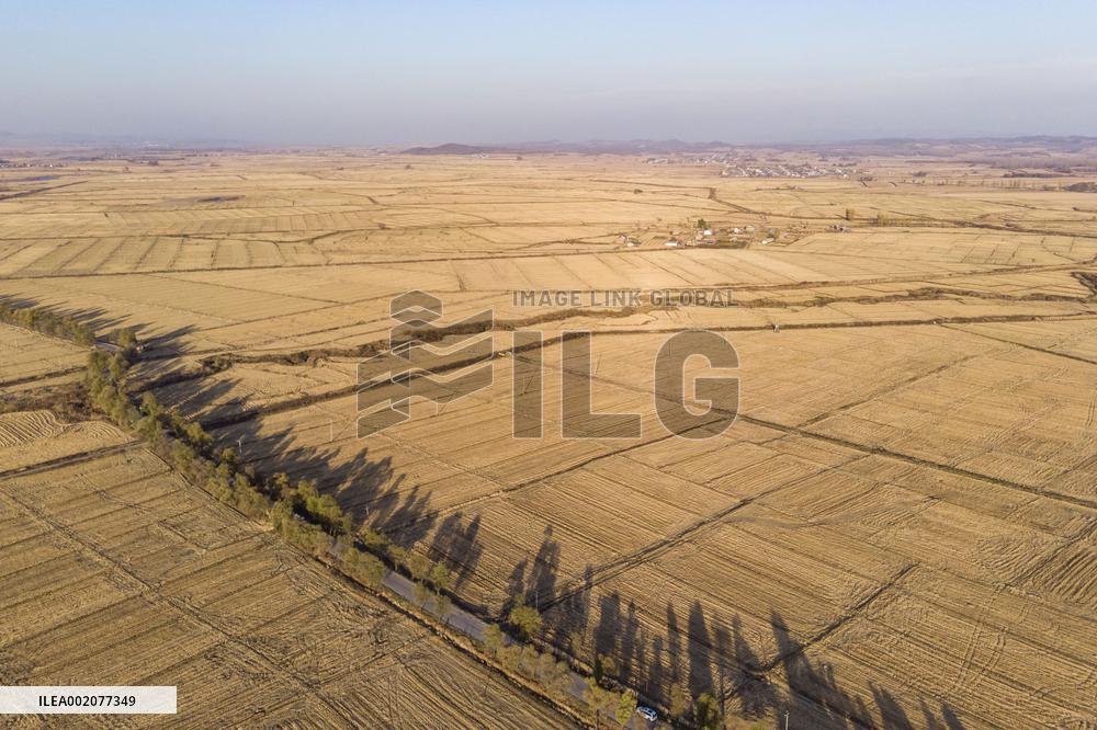 CHINA-GRAIN OUTPUT-RECORD HIGH (CN)