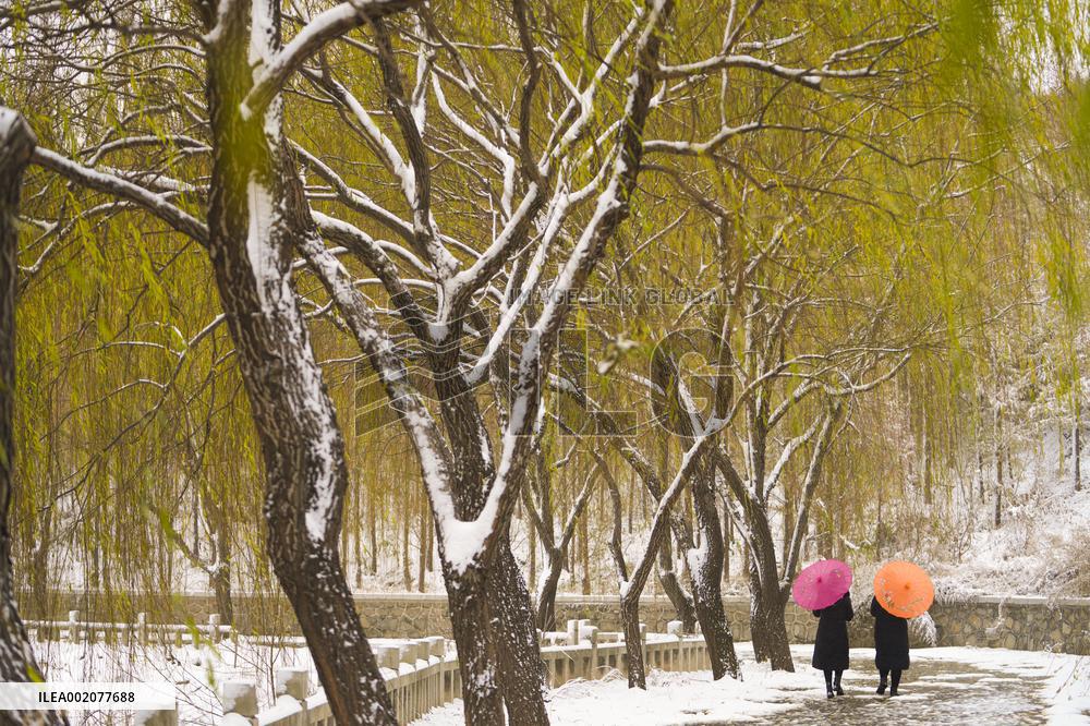 Snow Scenery in Zouping