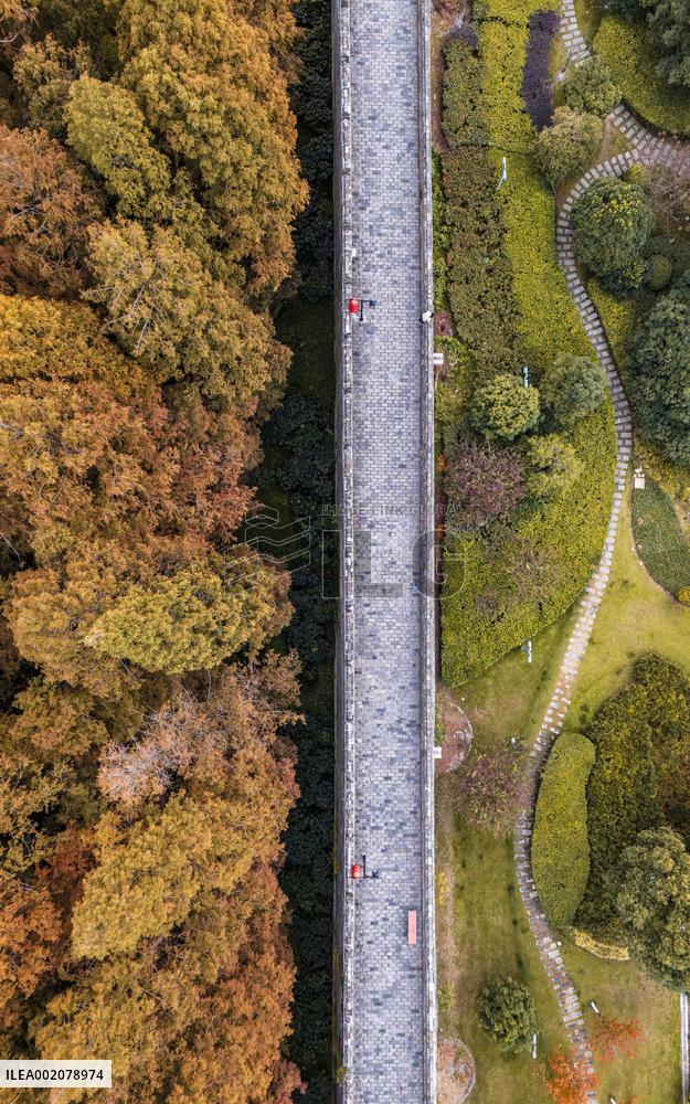 Ancient Ming Dynasty City Wall in Nanjing