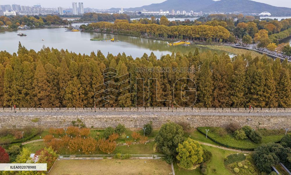 Ancient Ming Dynasty City Wall in Nanjing