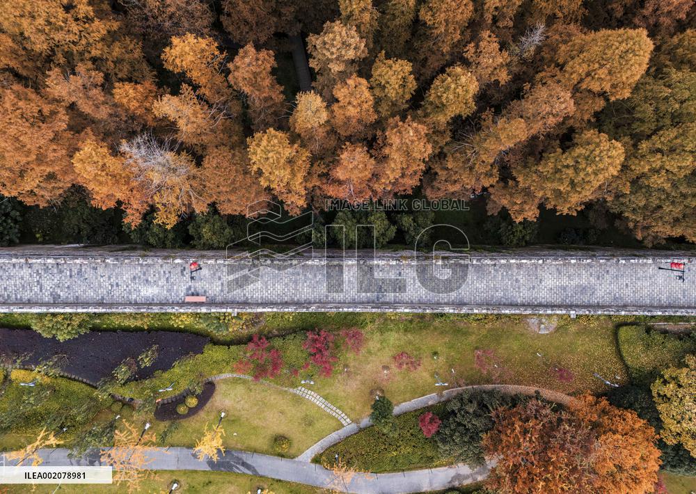 Ancient Ming Dynasty City Wall in Nanjing