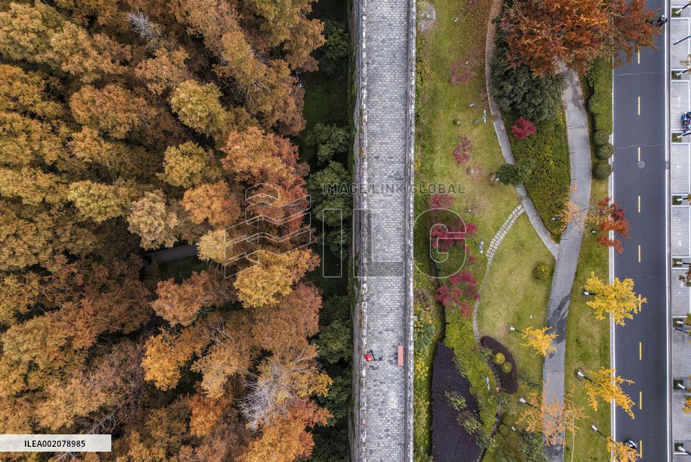 Ancient Ming Dynasty City Wall in Nanjing