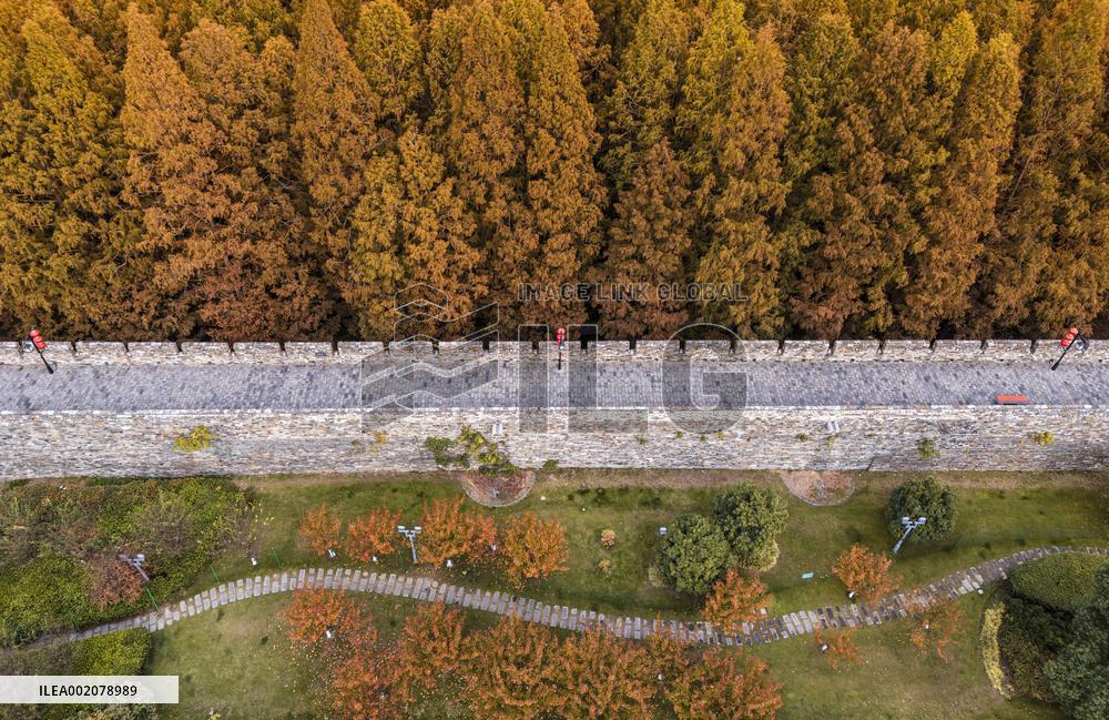 Ancient Ming Dynasty City Wall in Nanjing