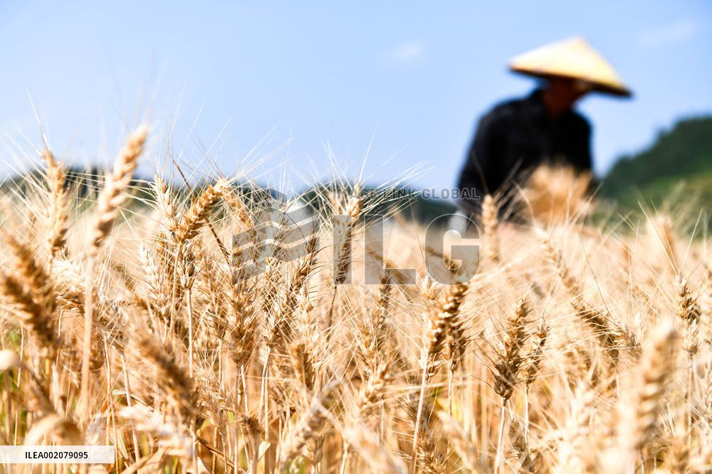 XINHUA PHOTOS OF THE DAY