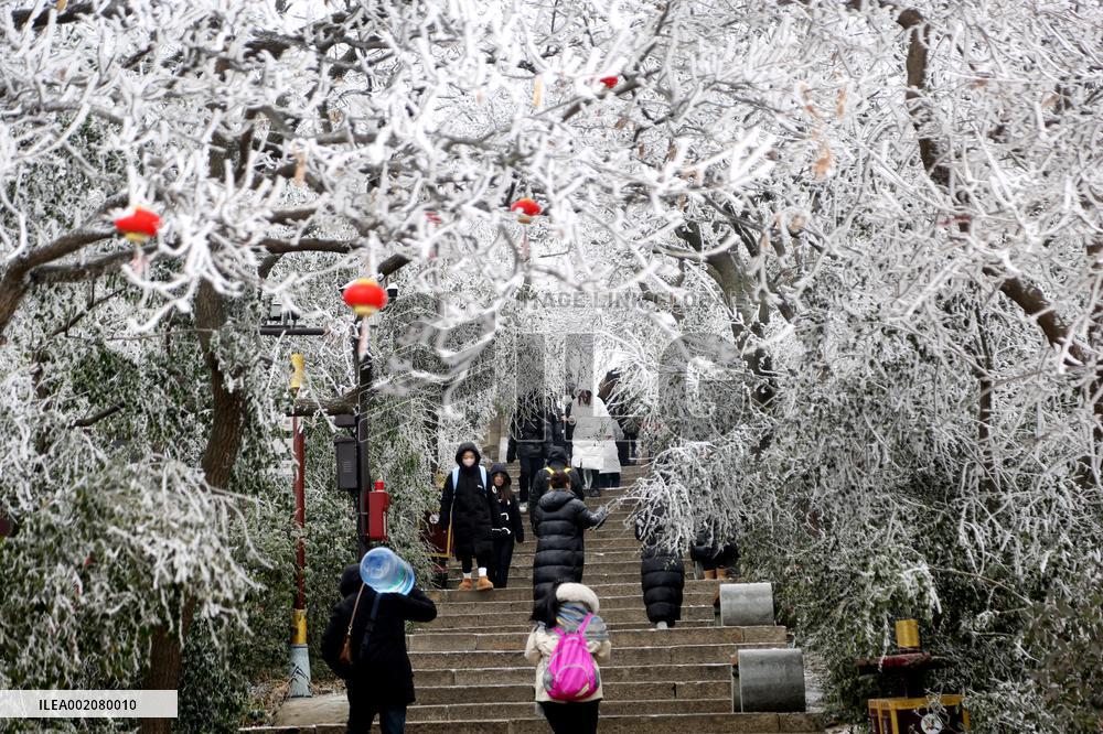 Rime Scenery in Lianyungang