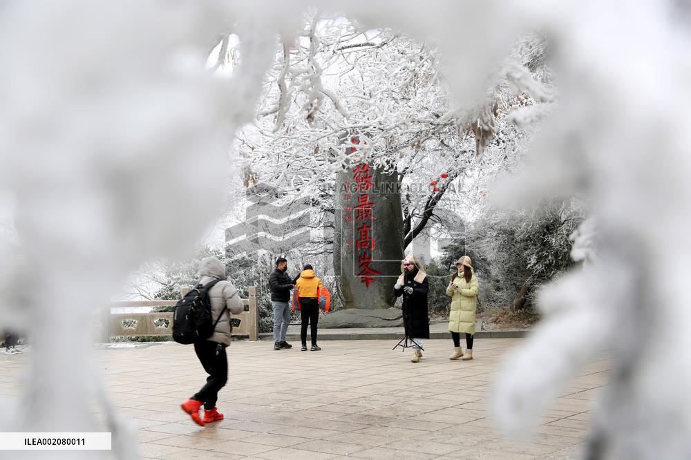 Rime Scenery in Lianyungang