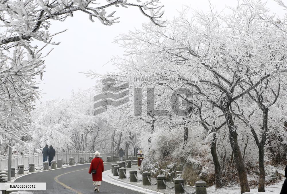 Rime Scenery in Lianyungang