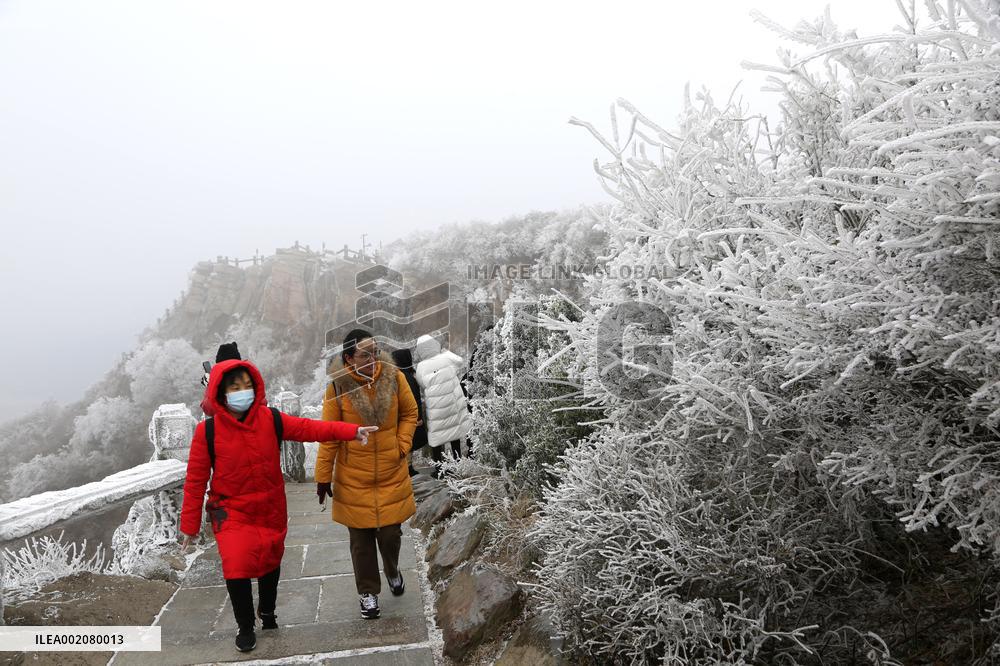 Rime Scenery in Lianyungang