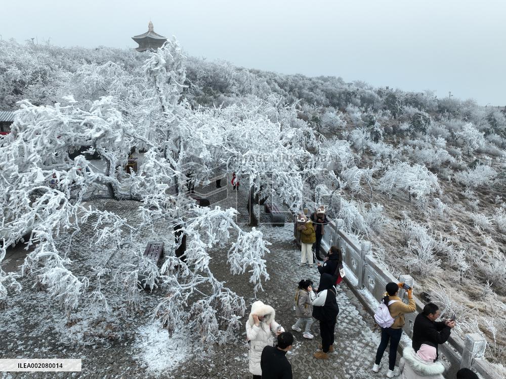 Rime Scenery in Lianyungang