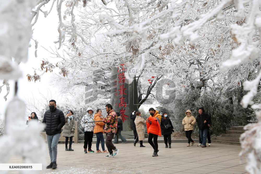Rime Scenery in Lianyungang