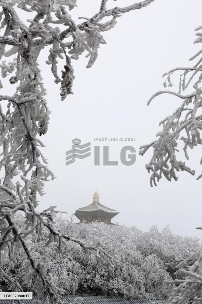 Rime Scenery in Lianyungang