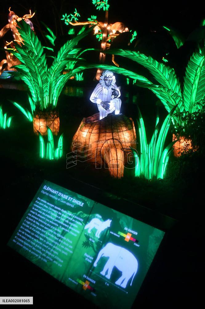Light Exhibition At The Jardin Des Plantes - Paris